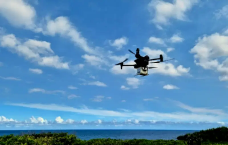 Moustique tigre : la technique de l'insecte stérile, une arme prometteuse contre la dengue