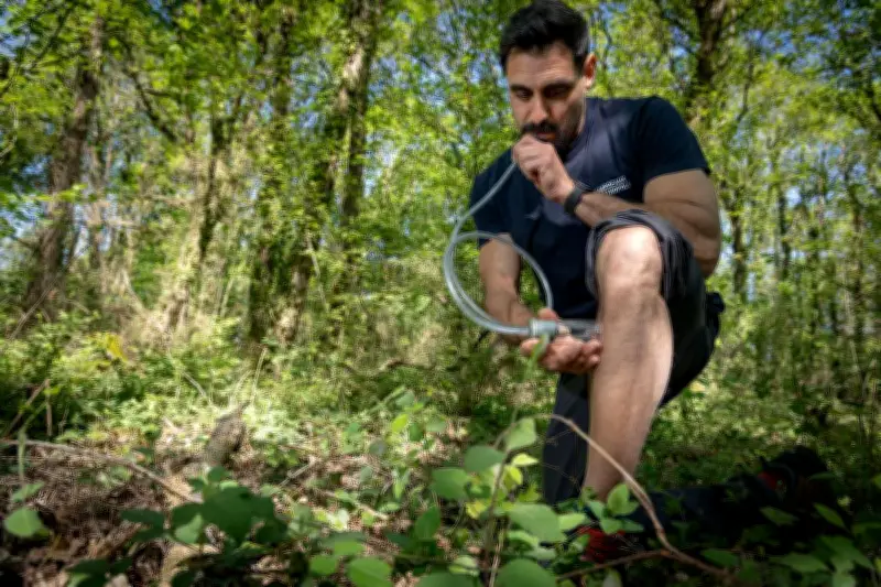 Moustiques tigres en Nouvelle-Aquitaine : la vigilance s'intensifie face aux risques sanitaires