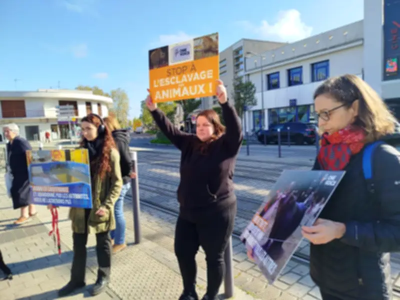 Mérignac : face-à-face tendu entre militants animalistes et cirque Zavatta
