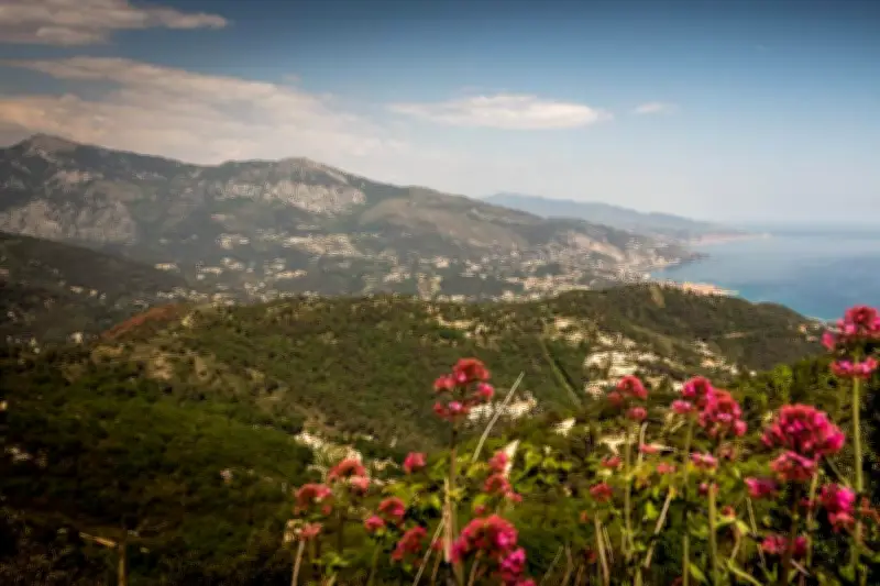 Météo Alpes-Maritimes : mercredi 29 avril, calme après les orages