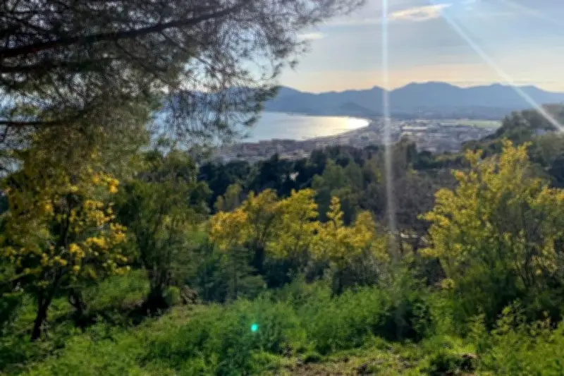 Météo des Alpes-Maritimes : un jeudi ensoleillé avec des températures douces