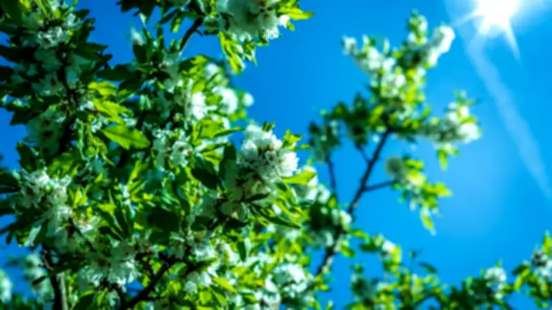 Météo printanière capricieuse : fraîcheur et averses avant un retour du soleil