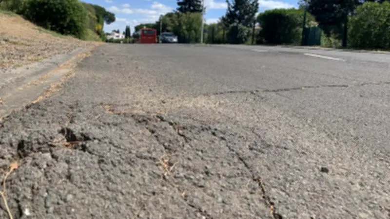 Municipales 2026 : les Agathois réclament plus de bus et des parkings gratuits