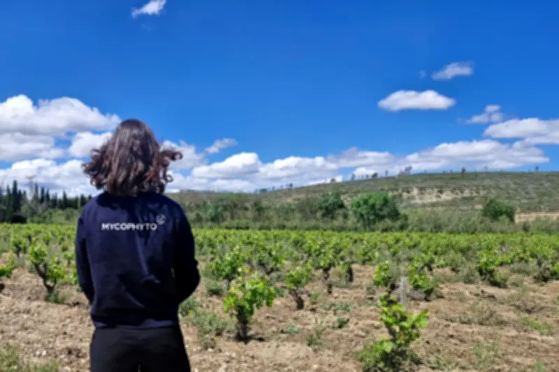 Mycophyto ouvre une filiale au Maroc : une étape clé pour la biotech grassoise