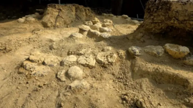 Mèze révèle un gisement colossal d'œufs de dinosaures, un trésor paléontologique unique