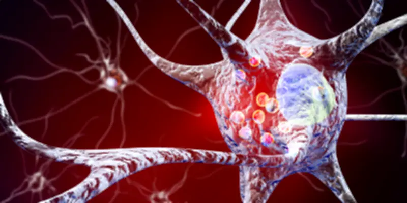 Nathalie Baye décède de la maladie à corps de Lewy, trouble neurodégénératif méconnu