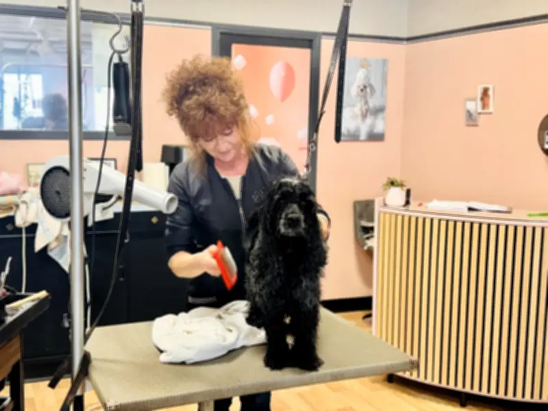 Nathalie Viguié, toiletteuse à Tonneins : une vie dédiée aux chiens et rongeurs