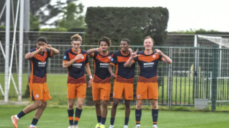 National 3 : Agde en mission maintien, la réserve du MHSC affronte l'OL