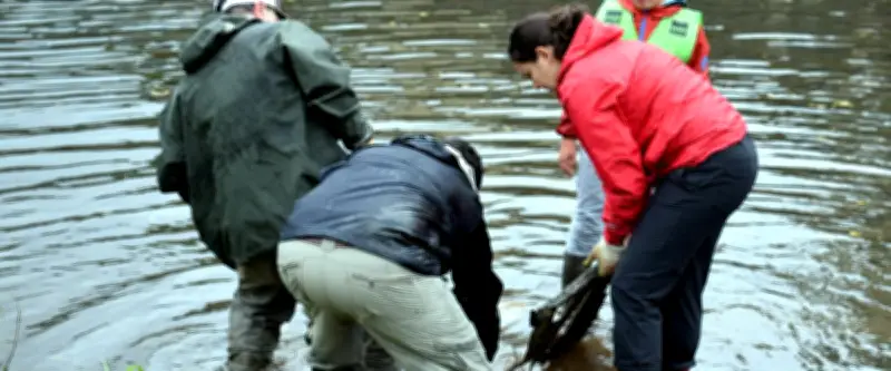 Nettoyage du Lot, film sur la Lozère et challenge équestre à Mende