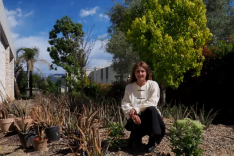 Nice : première culture d'aloe vera des Alpes-Maritimes pour une marque de cosmétiques naturels
