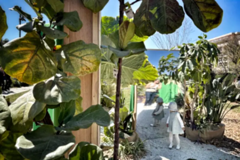 Nice : un parcours immersif « Réalité inversée » pour redécouvrir la nature en ville