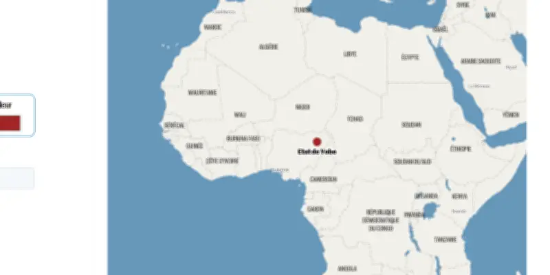 Nigeria : des frappes militaires font des dizaines de morts dans le nord-est