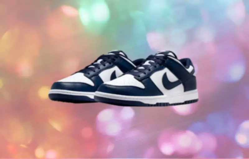 Nike Dunk Low Retro : La basket vintage qui fait sensation ce printemps