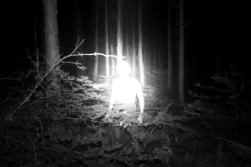 À Niort, de jeunes photographes pleins d'assurance exposent leur talent