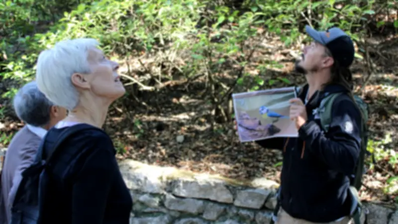 Nîmes en avril : des sorties nature pour découvrir la flore et observer les oiseaux