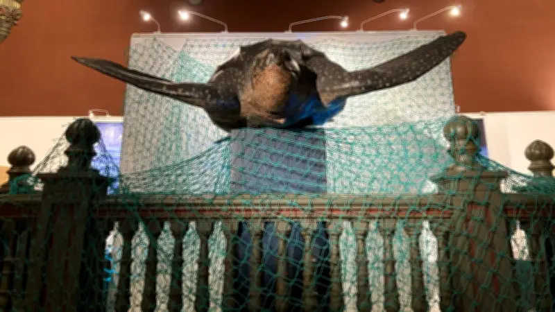 Nîmes lance une saison culturelle sur l'eau au Muséum d'Histoire Naturelle