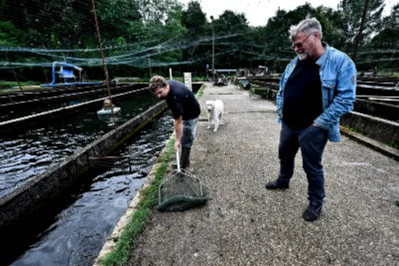 Nouvelle-Aquitaine : la filière piscicole en pleine croissance malgré la polémique Pure Salmon