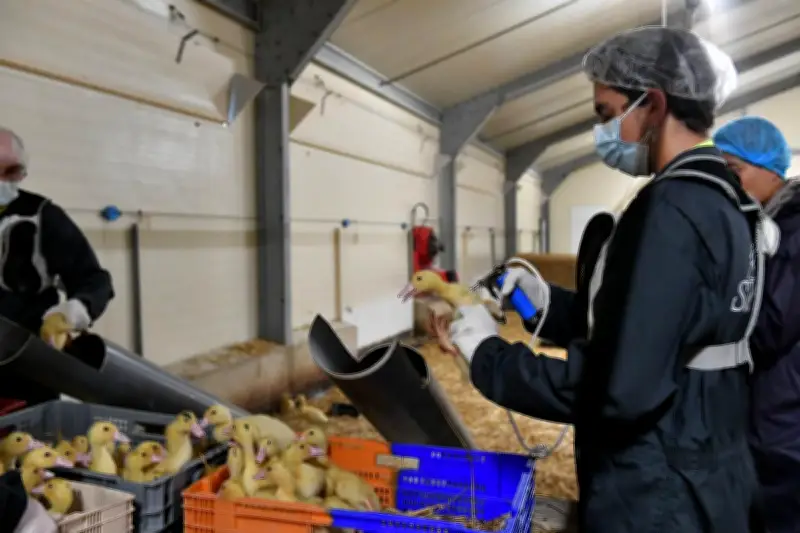 Nouvelle-Aquitaine : la stratégie « Une seule santé » au cœur des innovations régionales