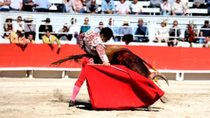 Novillada d'Arles : Nino Julian, Vilau et Victor brillent lors d'une corrida prometteuse