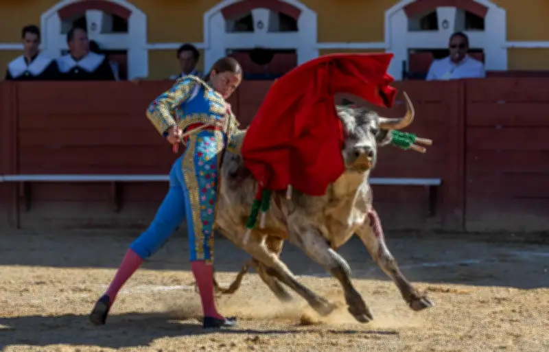 Novillada de Mugron : une seule oreille décernée lors des Pâques taurines