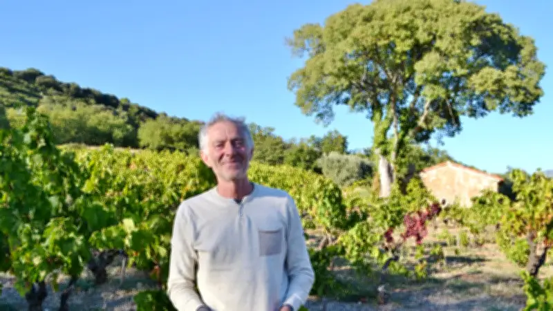Olivier Jullien, pionnier du Languedoc : « Planter des arbres plutôt qu'arroser les vignes »
