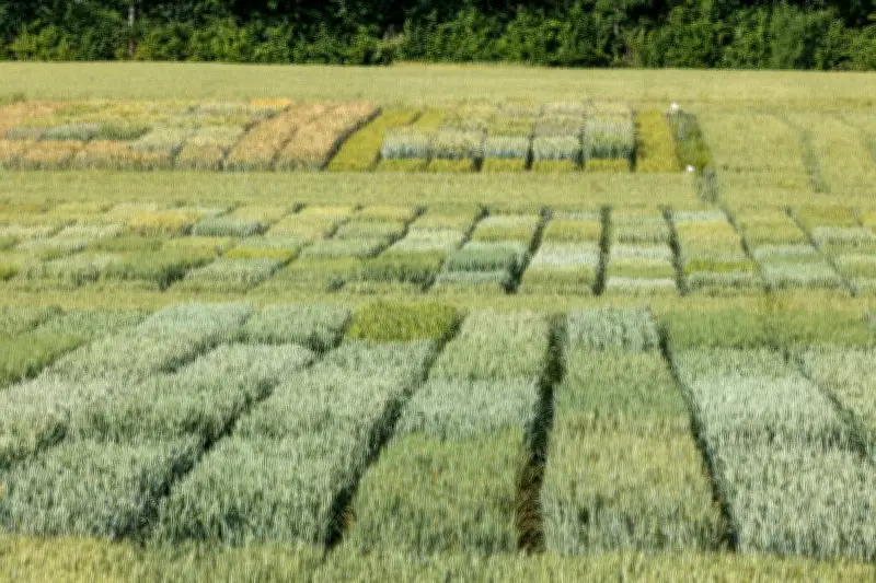 One Health : La science doit guider les politiques publiques de santé environnementale