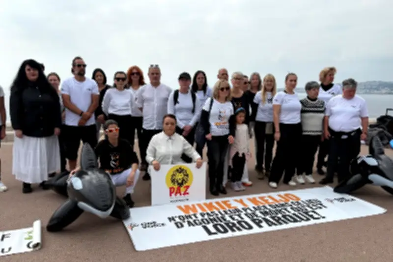 One Voice mobilisée pour les orques de Marineland et dénonce l'ambiguïté gouvernementale