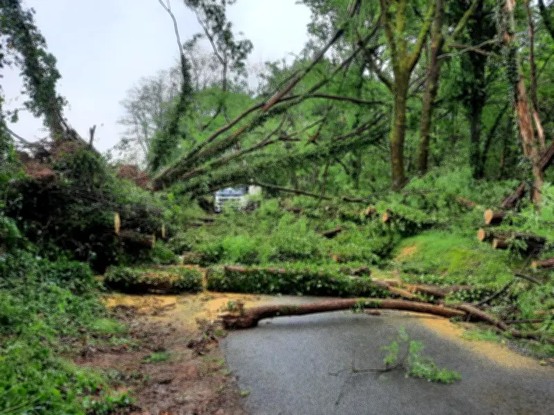 Orages dans l'Ouest Béarn : inondations et trafic SNCF interrompu