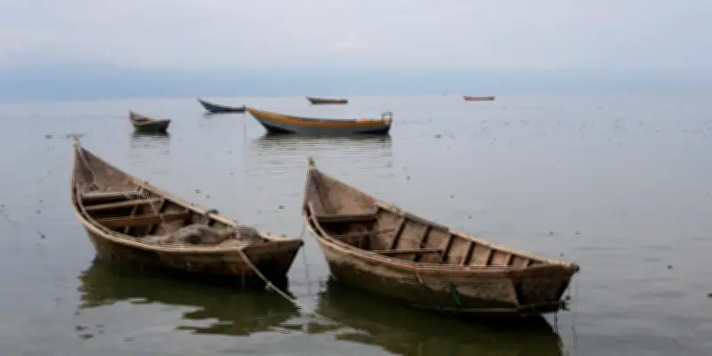 Ouganda : une trentaine de disparus après un naufrage