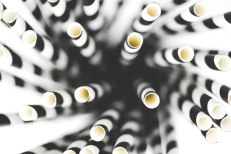 Pailles végétales : comment des industriels contournent la loi anti-plastique à usage unique