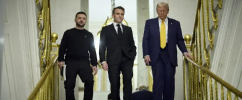 Paix en Ukraine : article 5, coalition des volontaires au cœur de la rencontre Zelensky-Trump