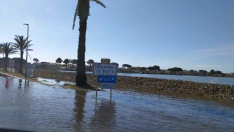 Palavas : mieux protéger le littoral des inondations