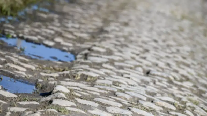Paris-Roubaix 2026 : vols de pavés, sabotage ou collection ? L'Enfer du Nord menacé