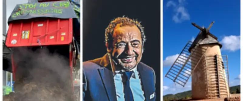 Patrick Timsit invité d'honneur : l'essentiel de l'actu en Occitanie