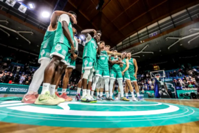 Pau chute lourdement à Blois et doit réagir face à Antibes