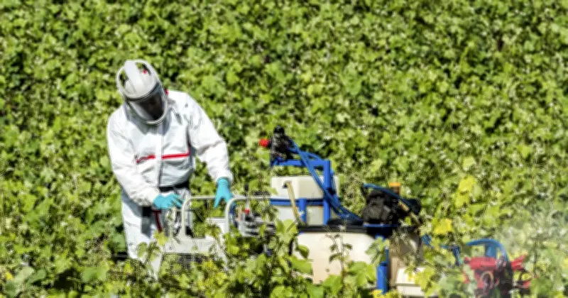 Pesticides et cancer : une étude franco-péruvienne révèle un lien statistique robuste