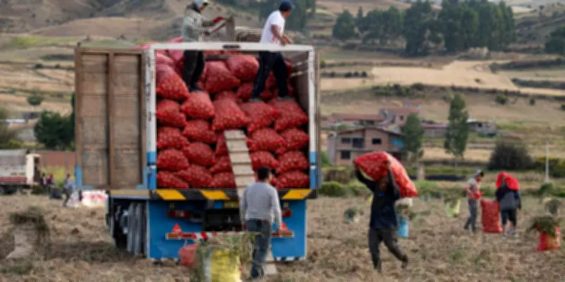 Pesticides et cancers : une étude nationale révèle des effets mesurés à grande échelle