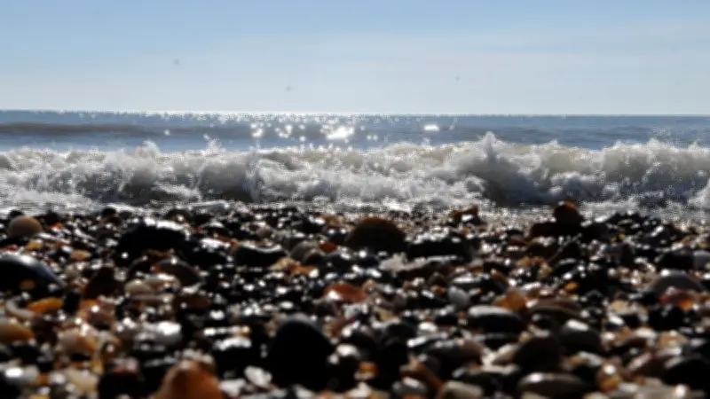 Peut-on ramasser des coquillages sur les plages du Grau-du-Roi ?