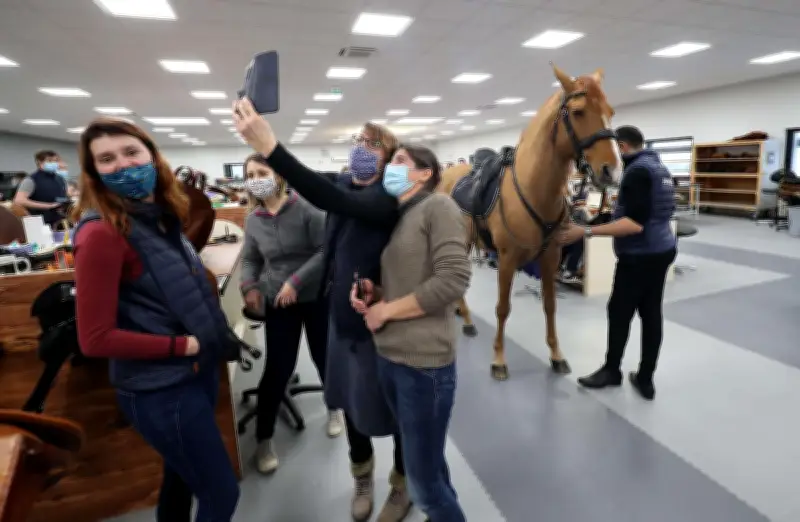 Peyo, le cheval qui détecte les cancers, visite Antarès à Saintes