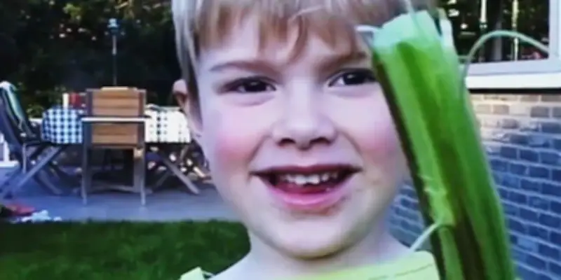 PFAS : comment l'art devient une arme contre la pollution éternelle