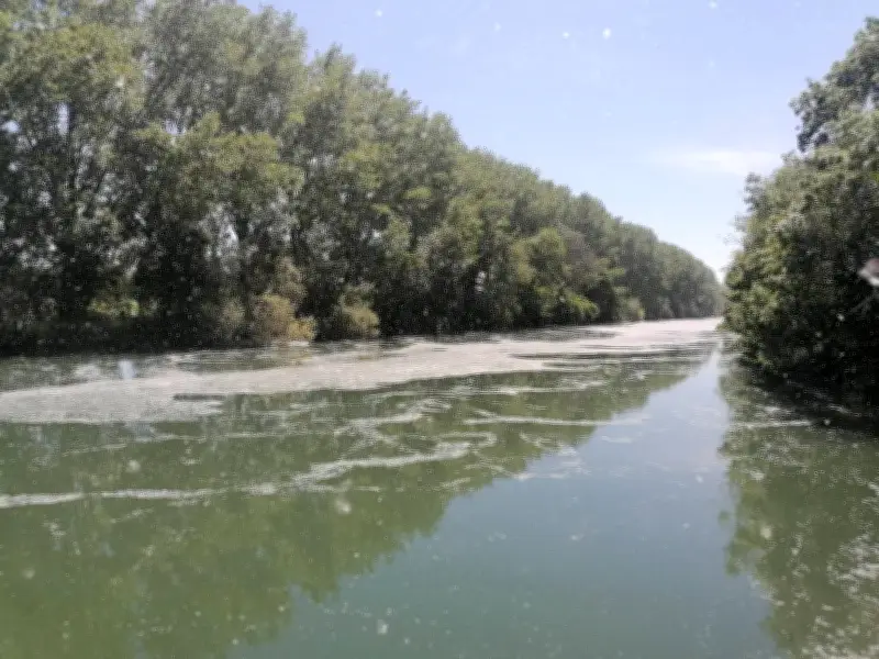 Phénomène surprenant : une traînée blanche recouvre la Charente à Saintes