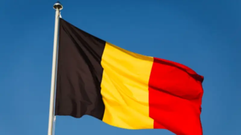 Photo avec drapeau nazi : un élu belge évoque une "erreur" de jeunesse