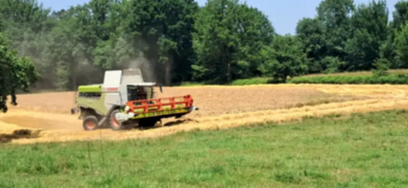 Plan climat : 20 agriculteurs du Nord-Est Béarn accompagnés