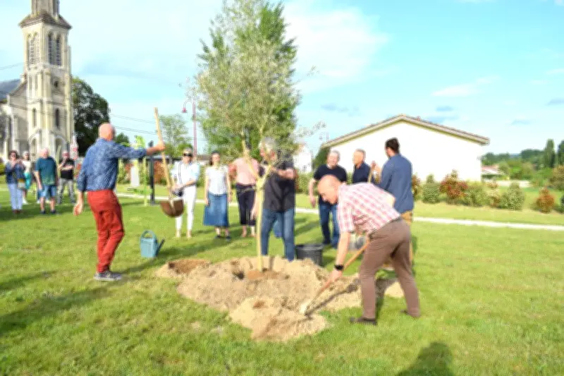 Plantation symbolique de l'arbre de la paix à Moustiers