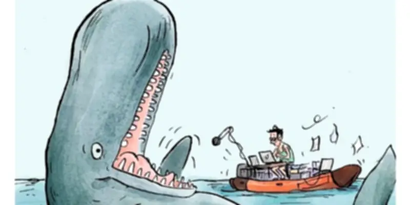 Plongée avec les cachalots : la sensibilité de ces cétacés révèle de vraies personnalités