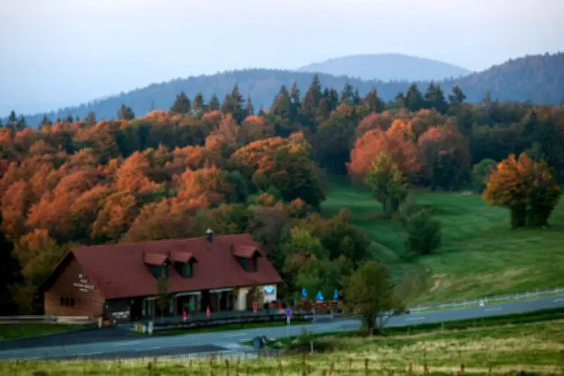 Plus de 1 000 arbres abattus au Ballon d'Alsace pour le Tour de France 2026