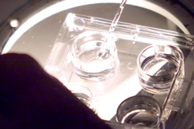 PMA pour toutes : les délais d'attente se stabilisent mais restent élevés après quatre ans