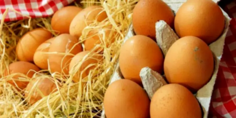 Pénurie d'œufs en France : causes, conséquences et perspectives du marché