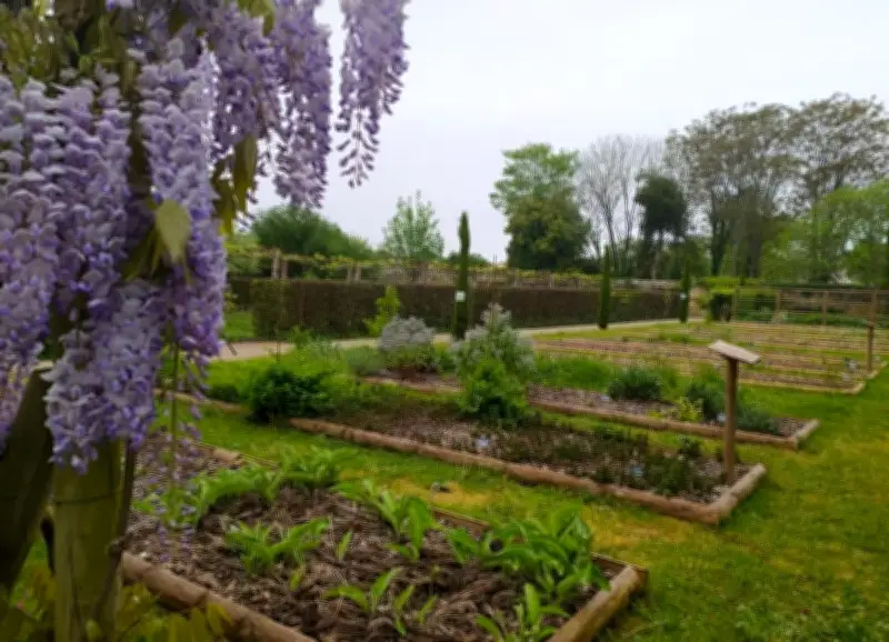 Pons : Ateliers gratuits au jardin médicinal de l'Hôpital des pèlerins en avril