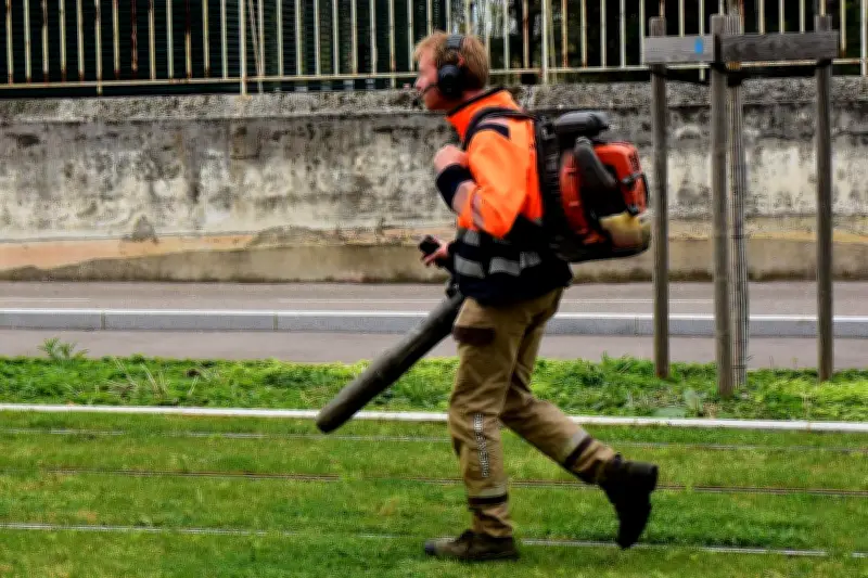 Pourquoi les souffleurs de feuilles sont l'archétype du bruit inutile et polluant